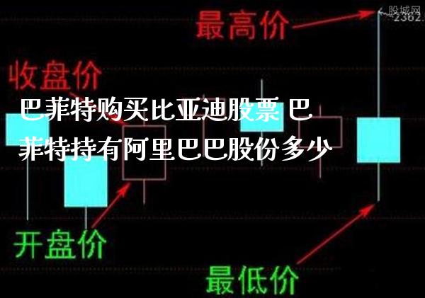 巴菲特购买比亚迪股票 巴菲特持有阿里巴巴股份多少_https://www.londai.com_股票投资_第1张