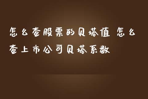 怎么查股票的贝塔值 怎么查上市公司贝塔系数_https://www.londai.com_股票投资_第1张