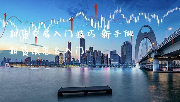 期货交易入门技巧 新手做期货该怎么入门_https://www.londai.com_期货投资_第1张