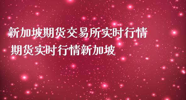 新加坡期货交易所实时行情 期货实时行情新加坡_https://www.londai.com_期货投资_第1张