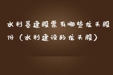 水利基建股票有哪些龙头股份（水利建设的龙头股）_https://www.londai.com_股票投资_第1张