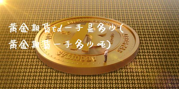 黄金期货td一手是多少(黄金期货一手多少吨)_https://www.londai.com_期货投资_第1张