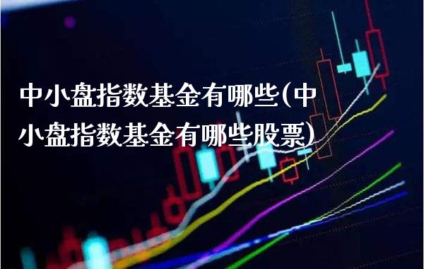 中小盘指数基金有哪些(中小盘指数基金有哪些股票)_https://www.londai.com_基金理财_第1张