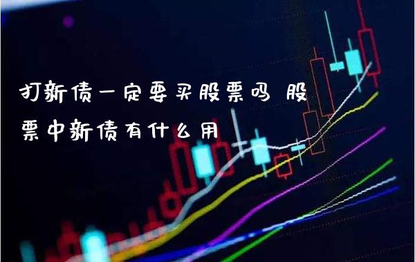 打新债一定要买股票吗 股票中新债有什么用_https://www.londai.com_股票投资_第1张