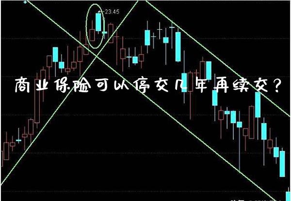 商业保险可以停交几年再续交？_https://www.londai.com_保险理财_第1张