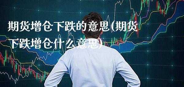 期货增仓下跌的意思(期货下跌增仓什么意思)_https://www.londai.com_理财品种_第1张