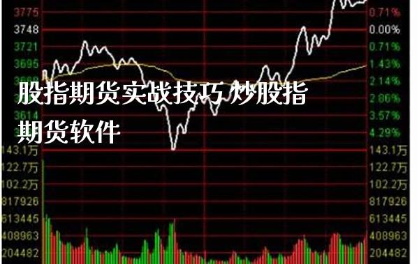 股指期货实战技巧 炒股指期货软件_https://www.londai.com_期货投资_第1张