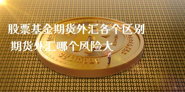 股票基金期货外汇各个区别 期货外汇哪个风险大_https://www.londai.com_期货投资_第1张