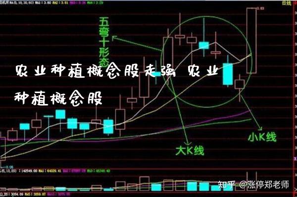 农业种植概念股走强 农业种植概念股_https://www.londai.com_股票投资_第1张