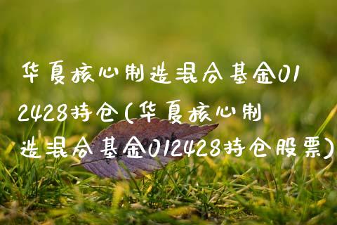 华夏核心制造混合基金012428持仓(华夏核心制造混合基金012428持仓股票)_https://www.londai.com_基金理财_第1张