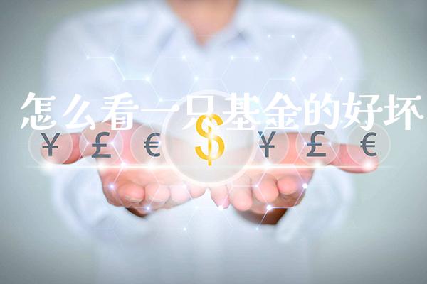 怎么看一只基金的好坏_https://www.londai.com_基金理财_第1张