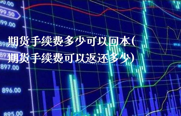 期货手续费多少可以回本(期货手续费可以返还多少)_https://www.londai.com_期货投资_第1张