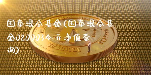 国泰混合基金(国泰混合基金020003今天净值查询)_https://www.londai.com_基金理财_第1张