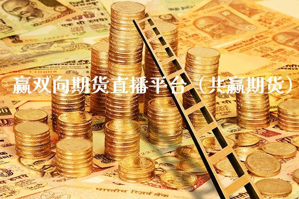 赢双向期货直播平台（共赢期货）_https://www.londai.com_期货投资_第1张