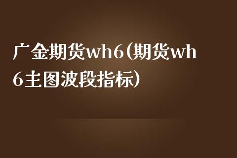 广金期货wh6(期货wh6主图波段指标)_https://www.londai.com_期货投资_第1张