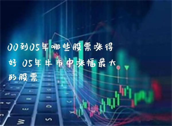 00到05年哪些股票涨得好 05年牛市中涨幅最大的股票_https://www.londai.com_股票投资_第1张