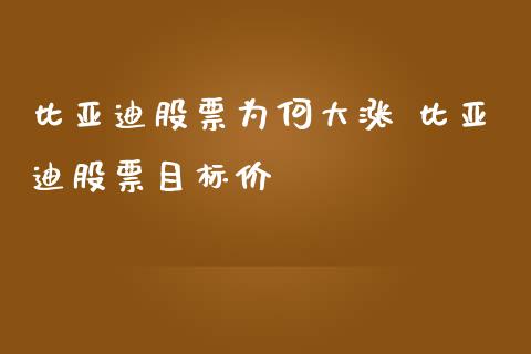 比亚迪股票为何大涨 比亚迪股票目标价_https://www.londai.com_股票投资_第1张