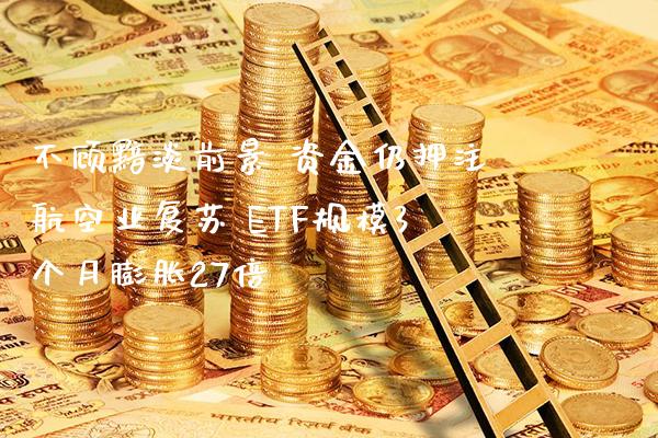 不顾黯淡前景 资金仍押注航空业复苏 ETF规模3个月膨胀27倍_https://www.londai.com_基金理财_第1张