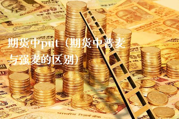 期货中put（期货中普麦与强麦的区别）_https://www.londai.com_期货投资_第1张