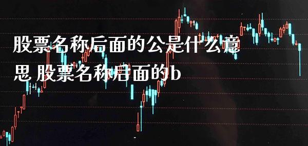 股票名称后面的公是什么意思 股票名称后面的b_https://www.londai.com_股票投资_第1张