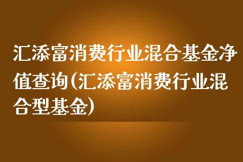 汇添富消费行业混合基金净值查询(汇添富消费行业混合型基金)_https://www.londai.com_基金理财_第1张