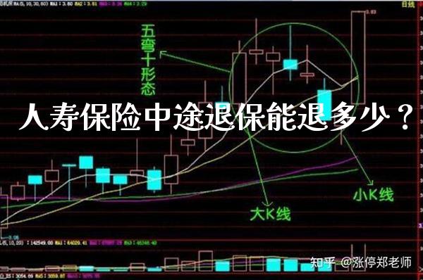 人寿保险中途退保能退多少？_https://www.londai.com_保险理财_第1张