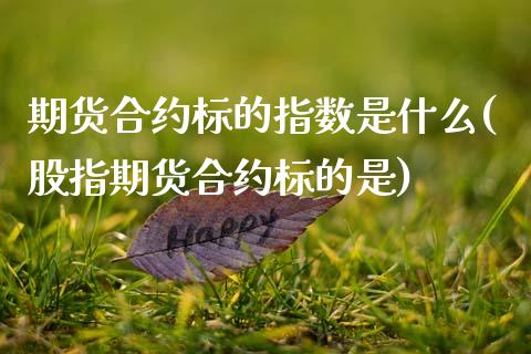 期货合约标的指数是什么(股指期货合约标的是)_https://www.londai.com_期货投资_第1张