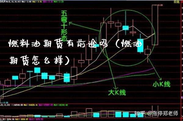 燃料油期货有前途吗（燃油期货怎么样）_https://www.londai.com_期货投资_第1张