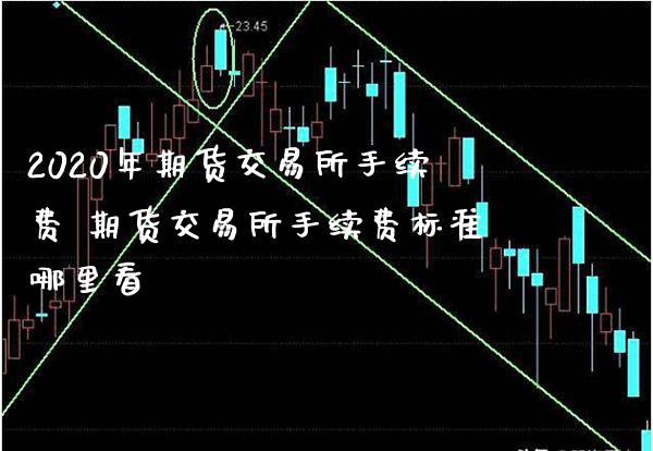 2020年期货交易所手续费 期货交易所手续费标准哪里看_https://www.londai.com_期货投资_第1张