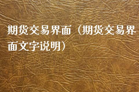 期货交易界面（期货交易界面文字说明）_https://www.londai.com_期货投资_第1张