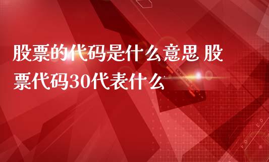 股票的代码是什么意思 股票代码30代表什么_https://www.londai.com_股票投资_第1张