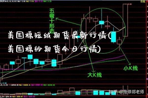 美国棉短绒期货最新行情(美国棉纱期货今日行情)_https://www.londai.com_财经资讯_第1张