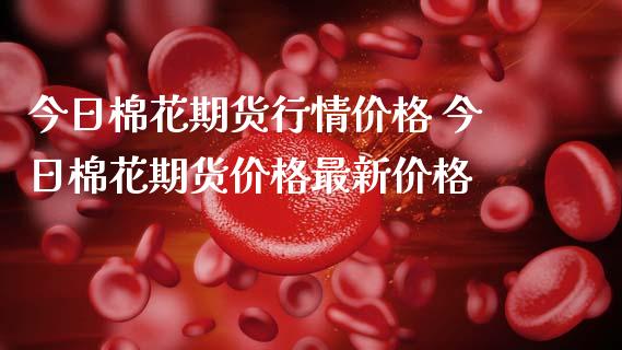 今日棉花期货行情价格 今日棉花期货价格最新价格_https://www.londai.com_期货投资_第1张