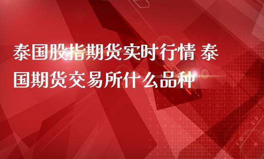 泰国股指期货实时行情 泰国期货交易所什么品种_https://www.londai.com_期货投资_第1张