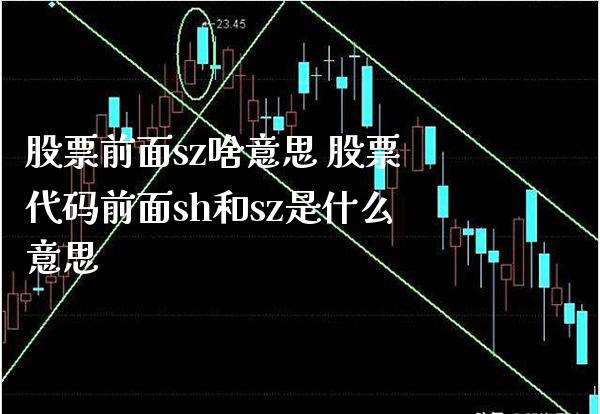 股票前面sz啥意思 股票代码前面sh和sz是什么意思_https://www.londai.com_股票投资_第1张