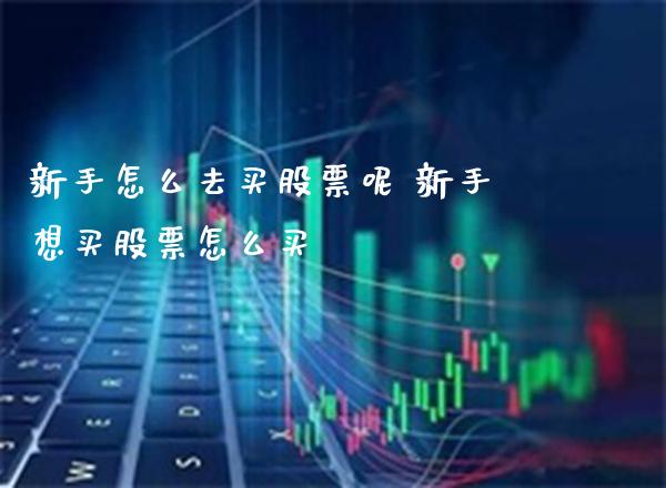 新手怎么去买股票呢 新手想买股票怎么买_https://www.londai.com_股票投资_第1张