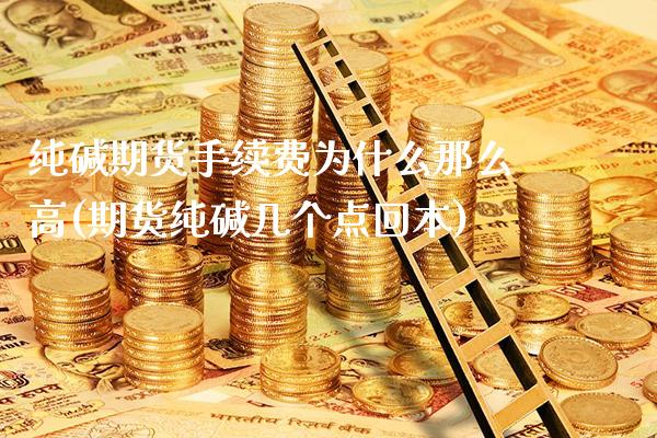 纯碱期货手续费为什么那么高(期货纯碱几个点回本)_https://www.londai.com_其他投资_第1张