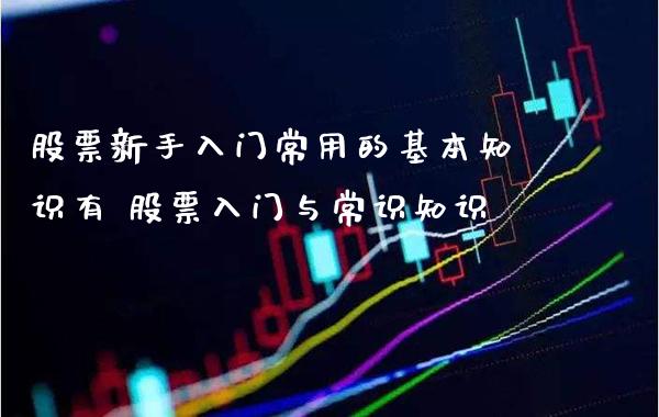 股票新手入门常用的基本知识有 股票入门与常识知识_https://www.londai.com_股票投资_第1张