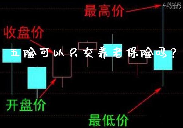 五险可以只交养老保险吗？_https://www.londai.com_保险理财_第1张