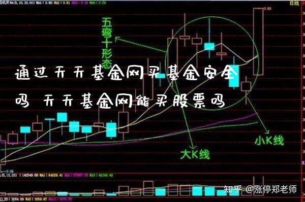 通过天天基金网买基金安全吗 天天基金网能买股票吗_https://www.londai.com_股票投资_第1张