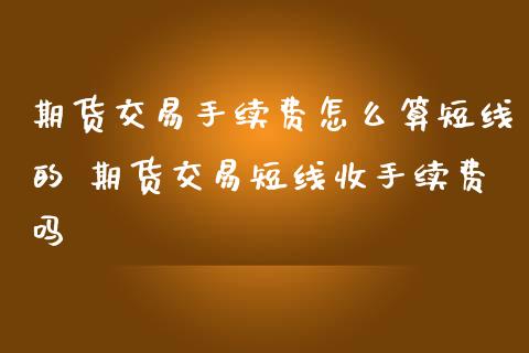 期货交易手续费怎么算短线的 期货交易短线收手续费吗_https://www.londai.com_期货投资_第1张