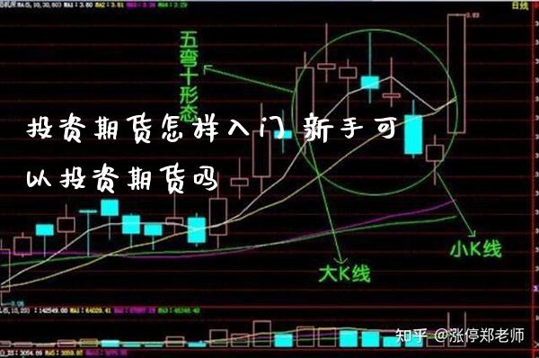 投资期货怎样入门 新手可以投资期货吗_https://www.londai.com_期货投资_第1张