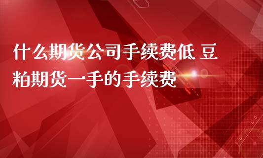 什么期货公司手续费低 豆粕期货一手的手续费_https://www.londai.com_期货投资_第1张