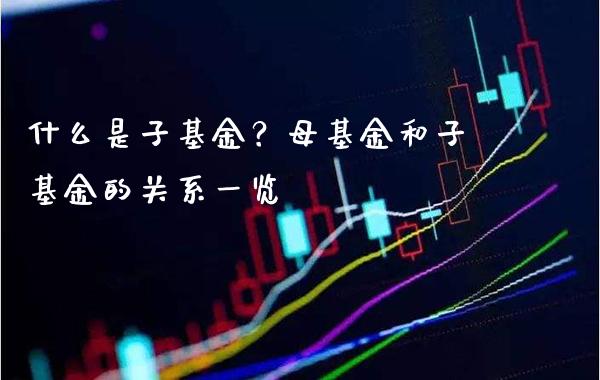 什么是子基金？母基金和子基金的关系一览_https://www.londai.com_基金理财_第1张