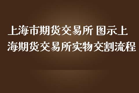 上海市期货交易所 图示上海期货交易所实物交割流程_https://www.londai.com_期货投资_第1张