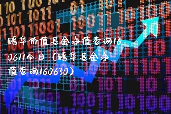 鹏华价值基金净值查询160611今日（鹏华基金净值查询160630）_https://www.londai.com_基金理财_第1张