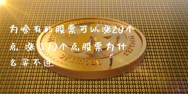 为啥有的股票可以涨20个点 涨了10个点股票为什么买不进_https://www.londai.com_股票投资_第1张