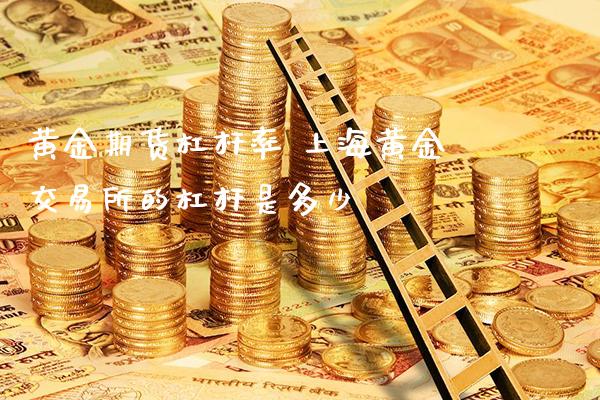 黄金期货杠杆率 上海黄金交易所的杠杆是多少_https://www.londai.com_期货投资_第1张