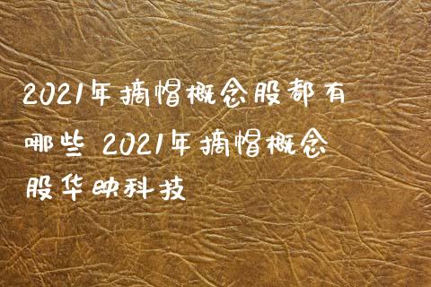 2021年摘帽概念股都有哪些 2021年摘帽概念股华映科技_https://www.londai.com_股票投资_第1张