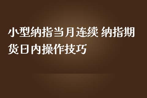 小型纳指当月连续 纳指期货日内操作技巧_https://www.londai.com_期货投资_第1张